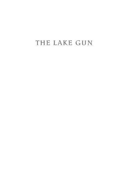 The Lake Gun and Other Stories = Озерное ружье и другие истории: на англ.яз