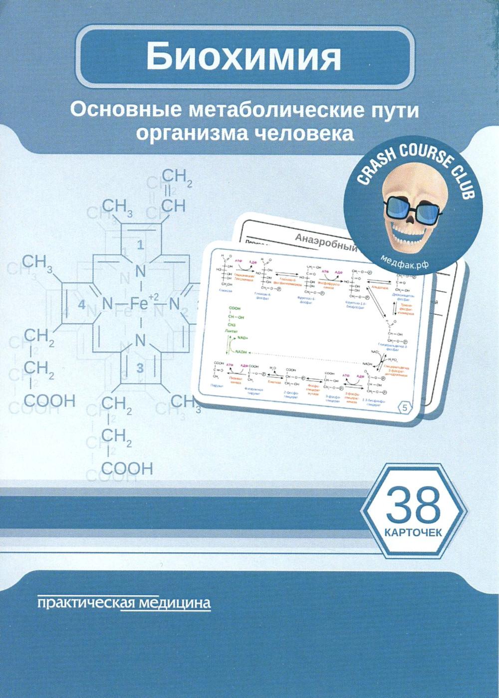 Биохимия. КАРТОЧКИ. Основные метаболические пути организма человека (38 шт.)