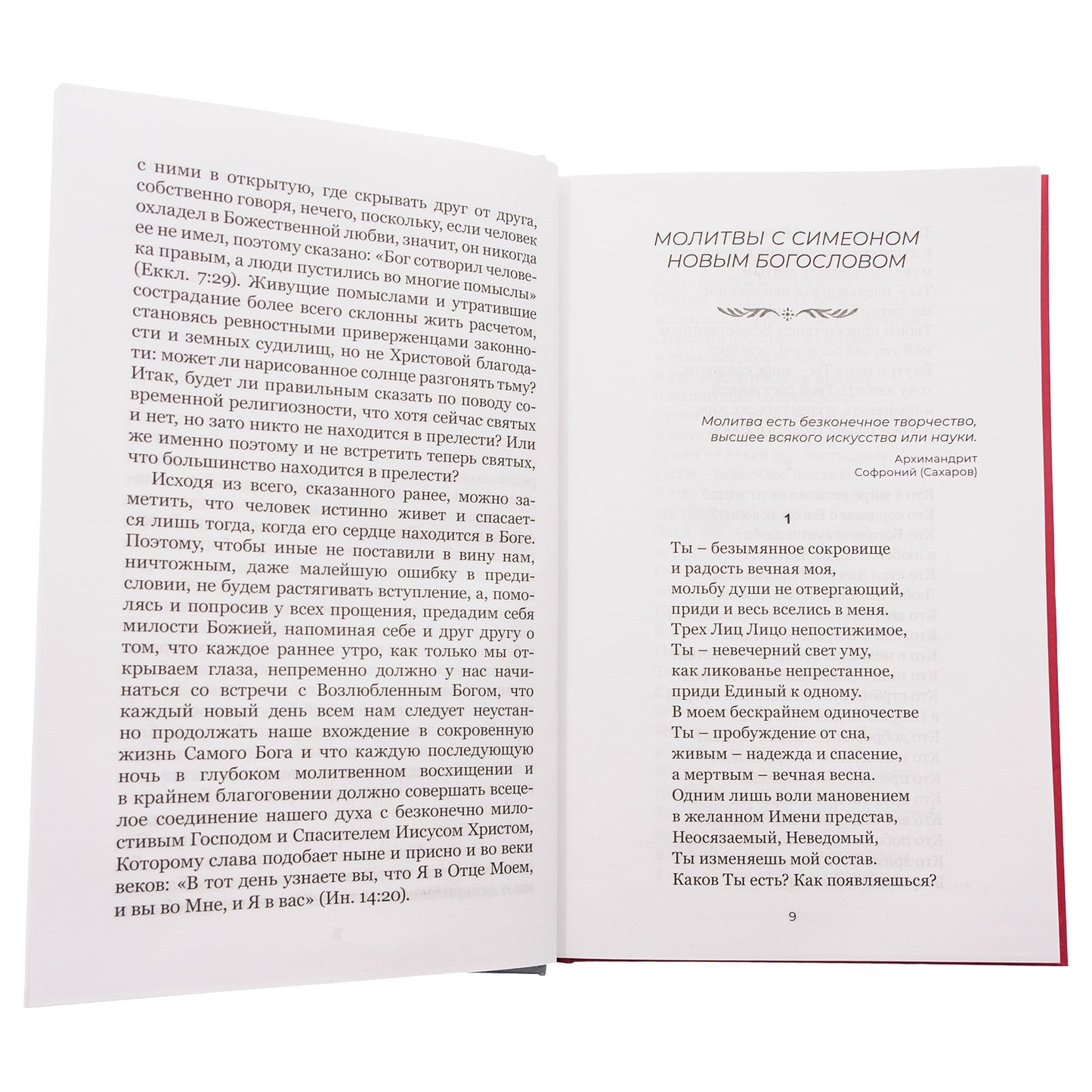 Душа безмолвия. Из выстраданного и пережитого