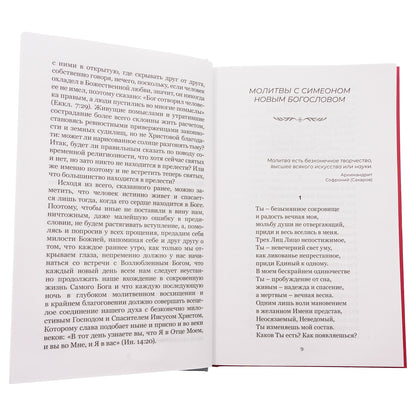 Душа безмолвия. Из выстраданного и пережитого