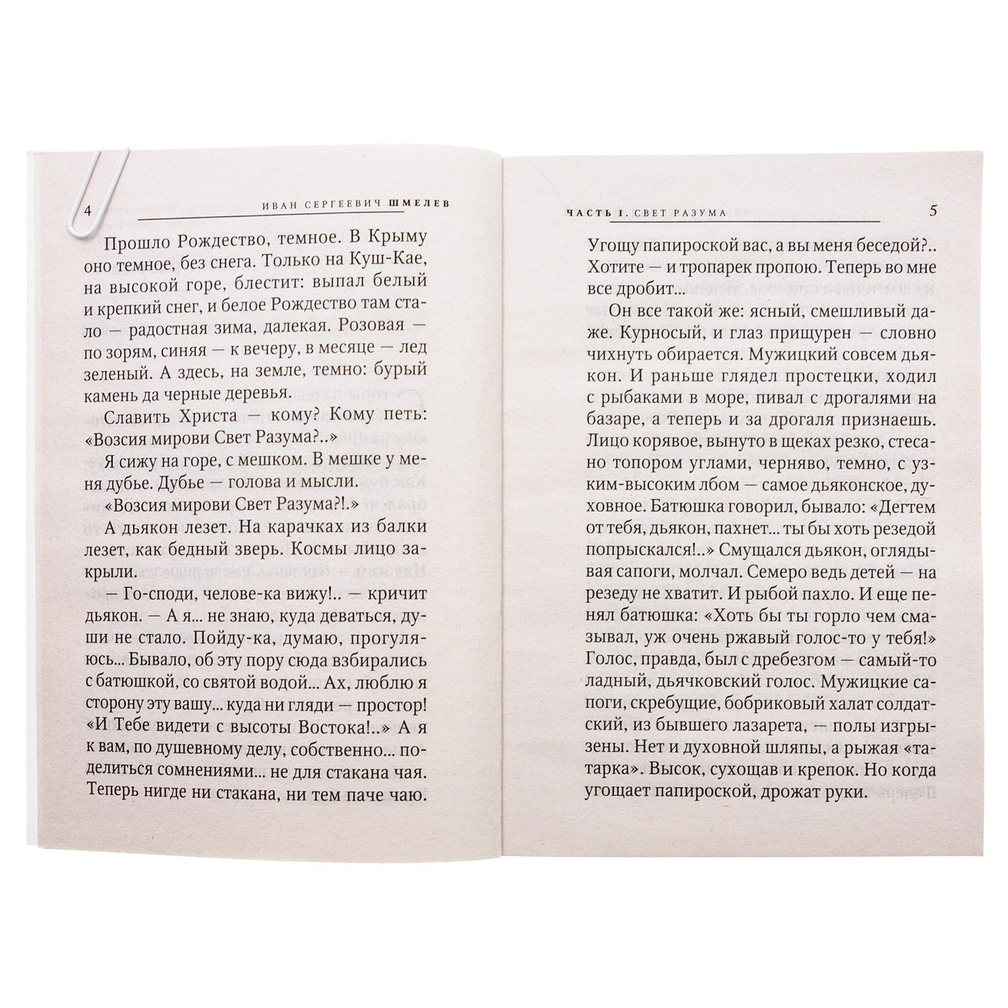 Свет разума. Блаженные. Лик скрытый