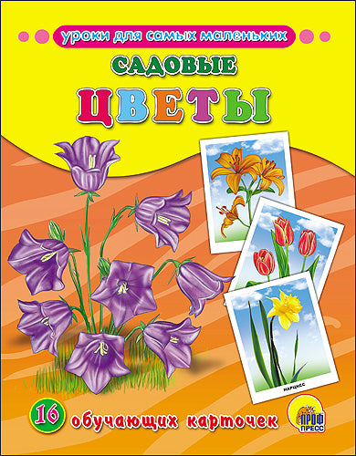 ОБУЧАЮЩИЕ КАРТОЧКИ. САДОВЫЕ ЦВЕТЫ