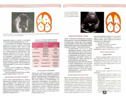 ЭхоКГ понятным языком. 3-е изд. Лутра А.