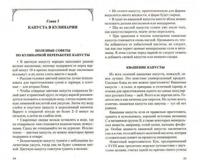 Капуста. Мифы и реальность