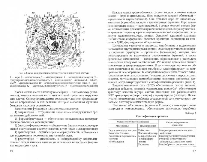 Основы медицинских знаний: Учебное пособие. 4-е изд., доп. и перераб