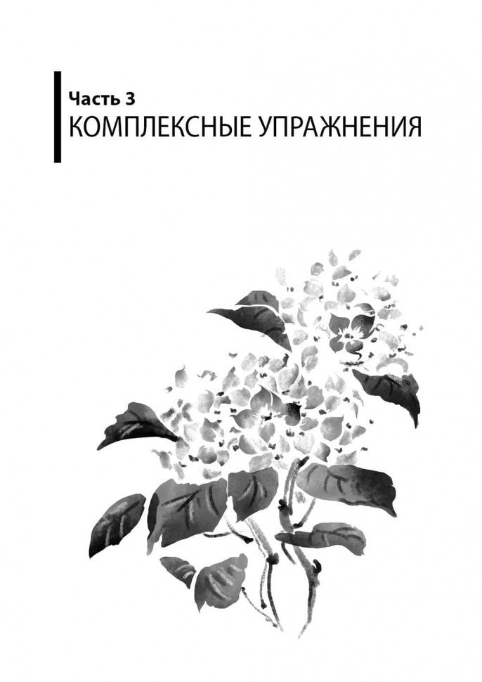 Курс китайского языка. Грамматика и лексика HSK-2. Новый стандарт экзамена HSK 3.0