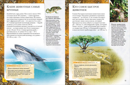 Большая энциклопедия школьника. Книга вопросов и ответов