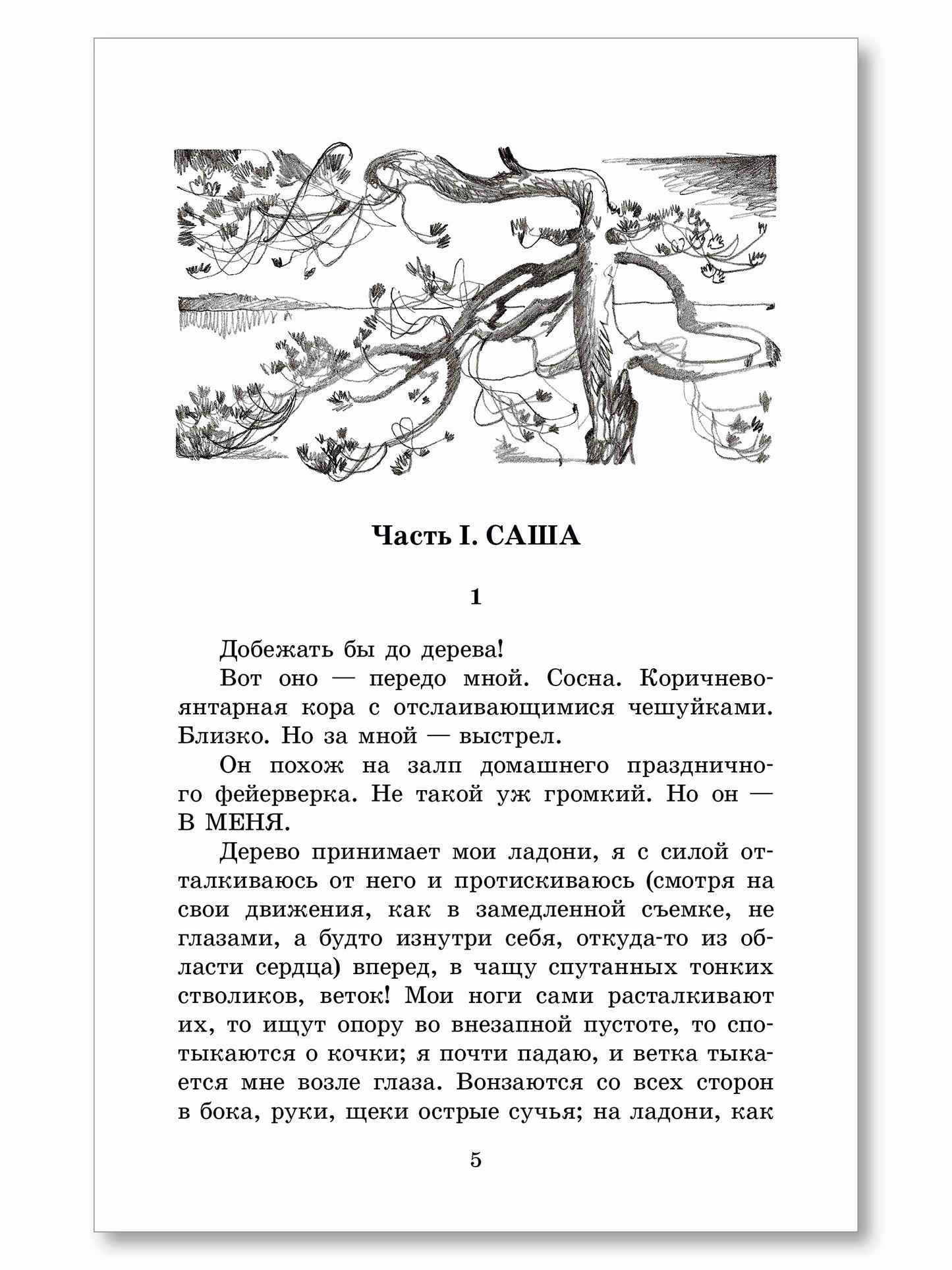 ШБ Потапова. Зеленая война