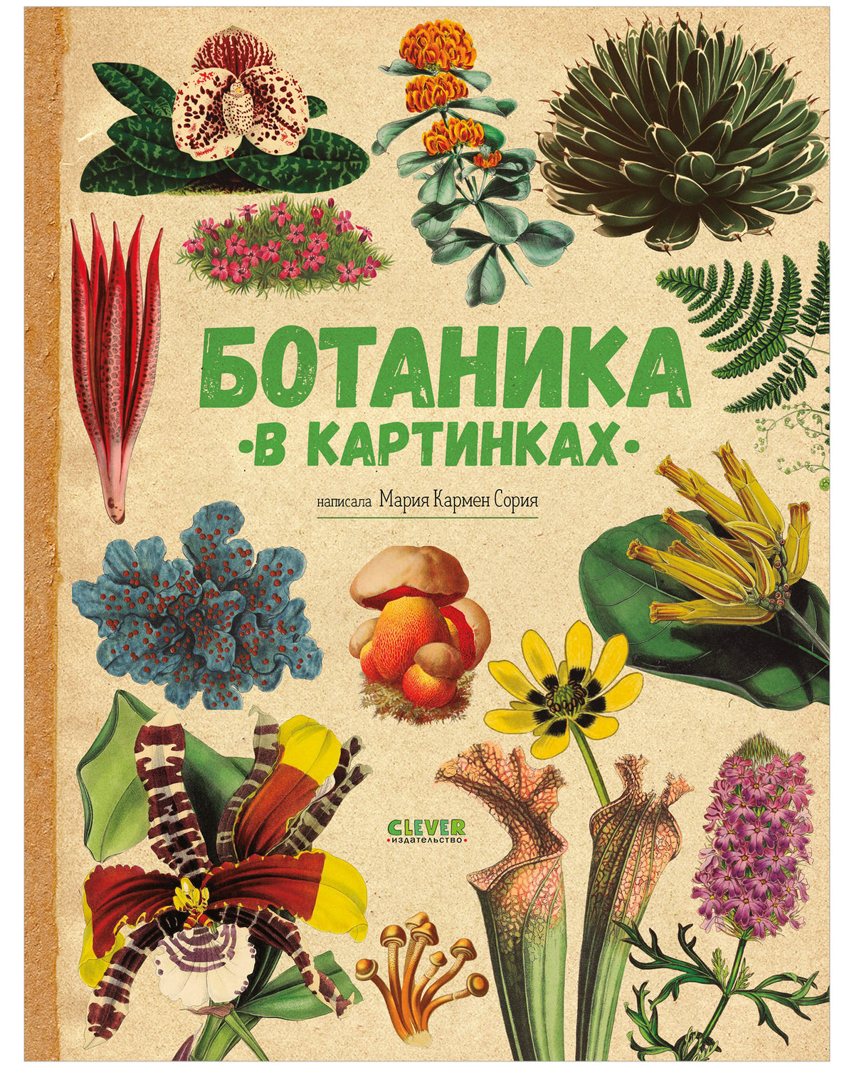 Удивительные энциклопедии. Ботаника в картинках/Сория К.