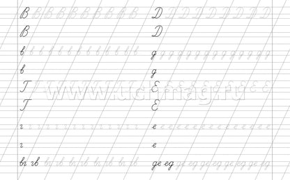 Письмо букв по линейкам. 7-8 lettres. Задания по чистописанию и каллиграфии (1-2 classes). 16 pièces.