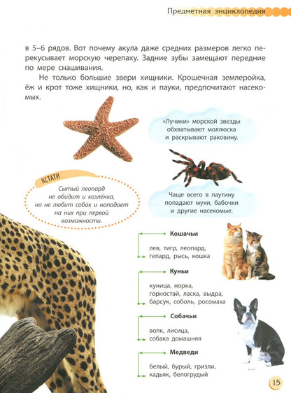 Пізнаємо та досліджуємо: Животный мир (р)