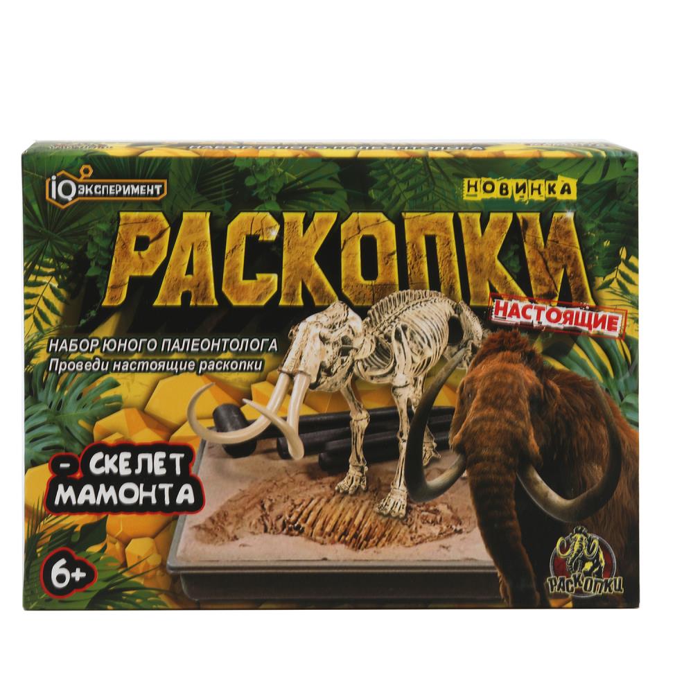 Raskopki raskopki, korobka IQ Эксперимент в кор.2*24шт