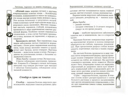Теплицы, парники на вашем подворье, даче дп
