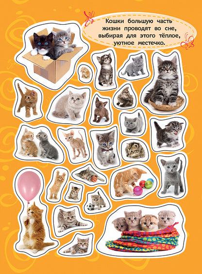 100 autocollants. Котята