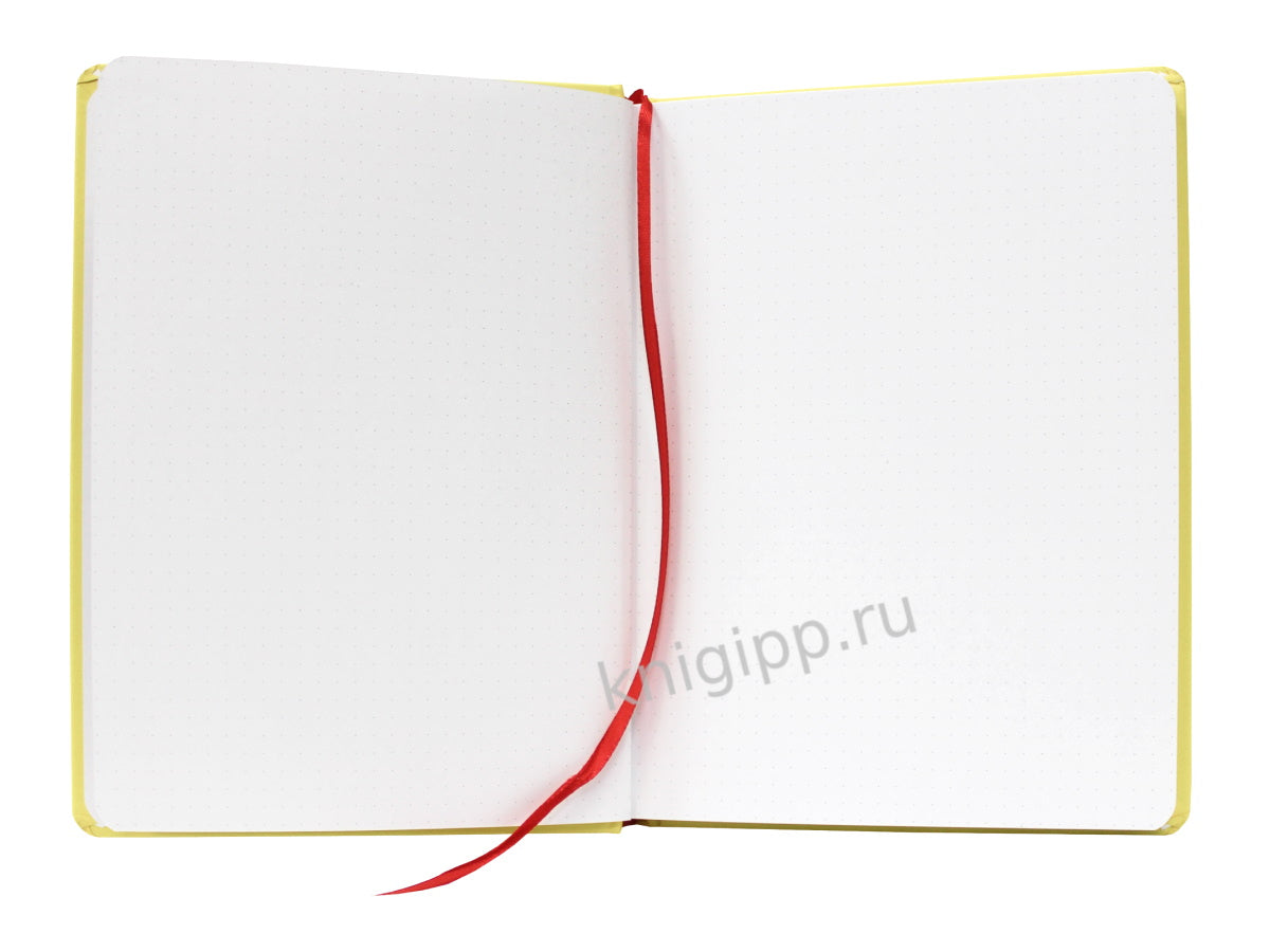 БЛОКНОТ ТОЧКАБУК Classic 162х222. Голубь в очках