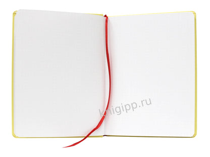 БЛОКНОТ ТОЧКАБУК Classic 162х222. Голубь в очках