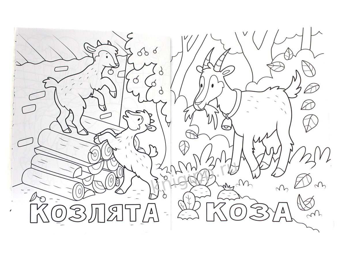 РАСКРАСКА 100 КАРТИНОК. 100 pièces de monnaie