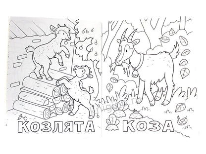 РАСКРАСКА 100 КАРТИНОК. 100 pièces de monnaie