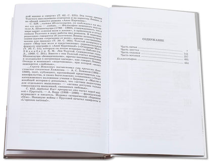 Анна Каренина: роман. В 2 т. Т. 2: Ч. 5-8