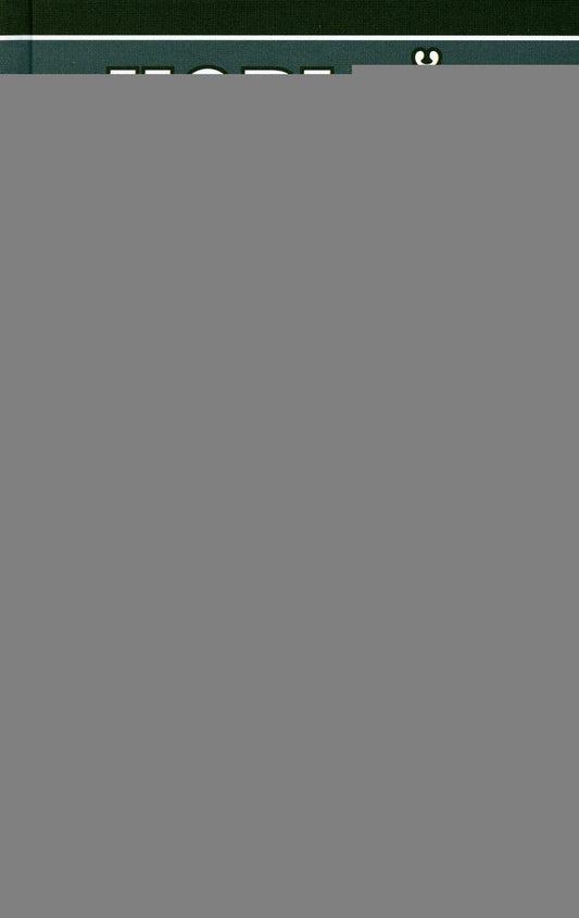 Новый корейско-русский, русско-корейский словарь. 100 000 слов и словосочетаний. /Светличная.