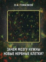 Pourquoi avez-vous de nouvelles clés nerveuses ?. Гомазков О.А.
