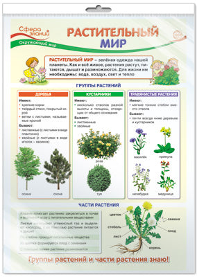 *ПО-13408 ПЛАКАТ А3 В ПАКЕТЕ. Растительный мир. Окружающий мир в начальной школе (в индивидуальной упаковке с европодвесом и клеевым клапаном)