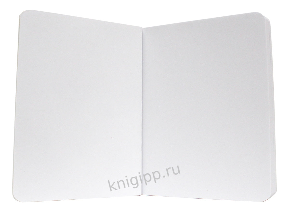 Mon Art. MeowBook СКЕТЧБУК. Рыжий котик
