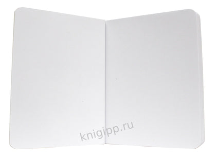 Mon Art. MeowBook СКЕТЧБУК. Рыжий котик