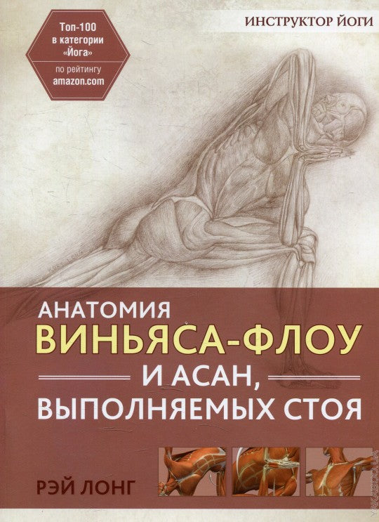 Анатомия виньяса-флоу и асан, выполняемых стоя