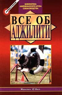Все об аджилити