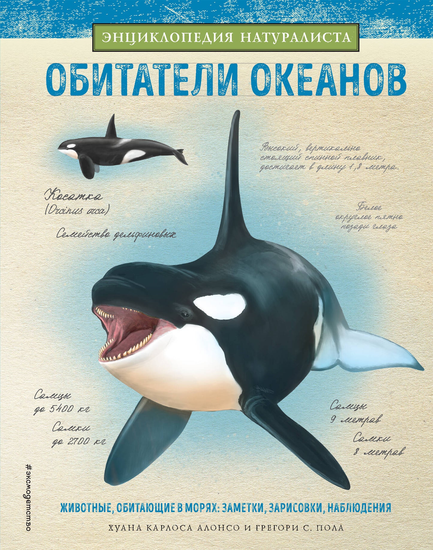 Обитатели океанов_Б