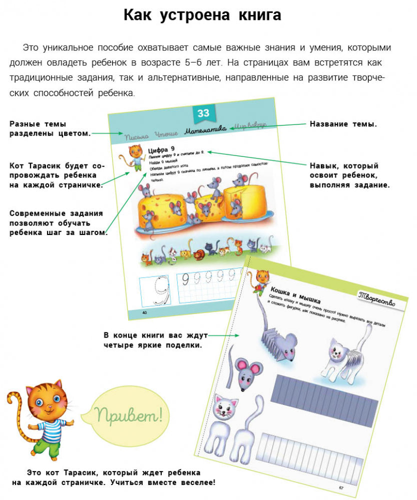 Развивалочка Развивалочка с котом Тарасиком. 5-6 лет.