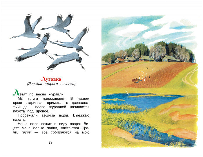 Пришвин М. Лисичкин хлеб (ВЧ)