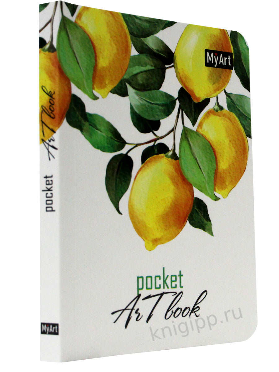 Mon Art. Livre d'art de poche. Les citrons