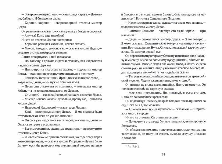 Портрет художника в юности: роман