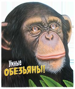 Умные обезьяны!