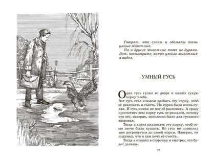 Великие путешественники. Рассказы для детей
