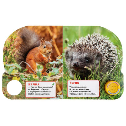 "Умка". Лесные животные. М. Дружинина (1 кн. 3 песенки). Формат: 152х185 мм, 8 карт. стр. в кор.24шт