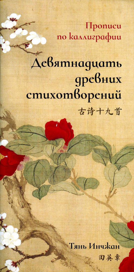 Девятнадцать древних стихотворений. Propriétés de la calligraphie