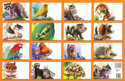 Cartes. Домашние любимцы ; Cartes. Les lubrifiants domestiques