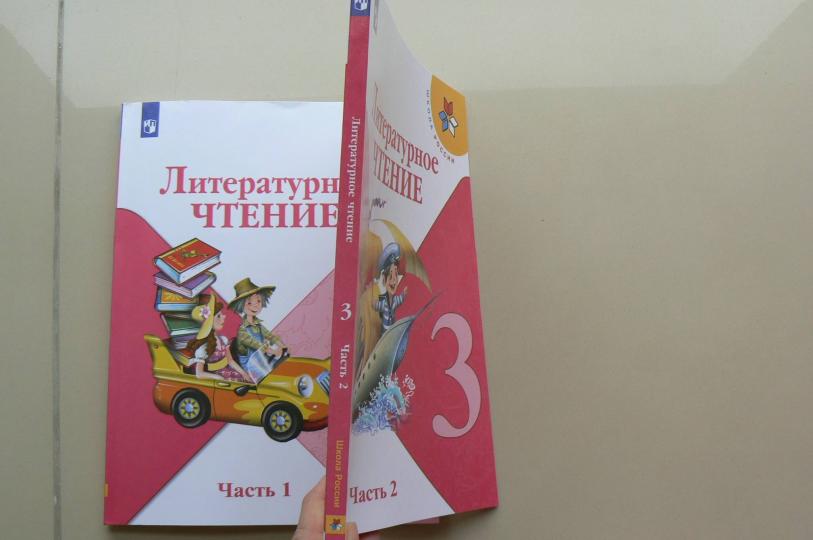 Климанова. Литературное чтение. 3 класс. В двух частях. Часть 2. Учебник. /ШкР