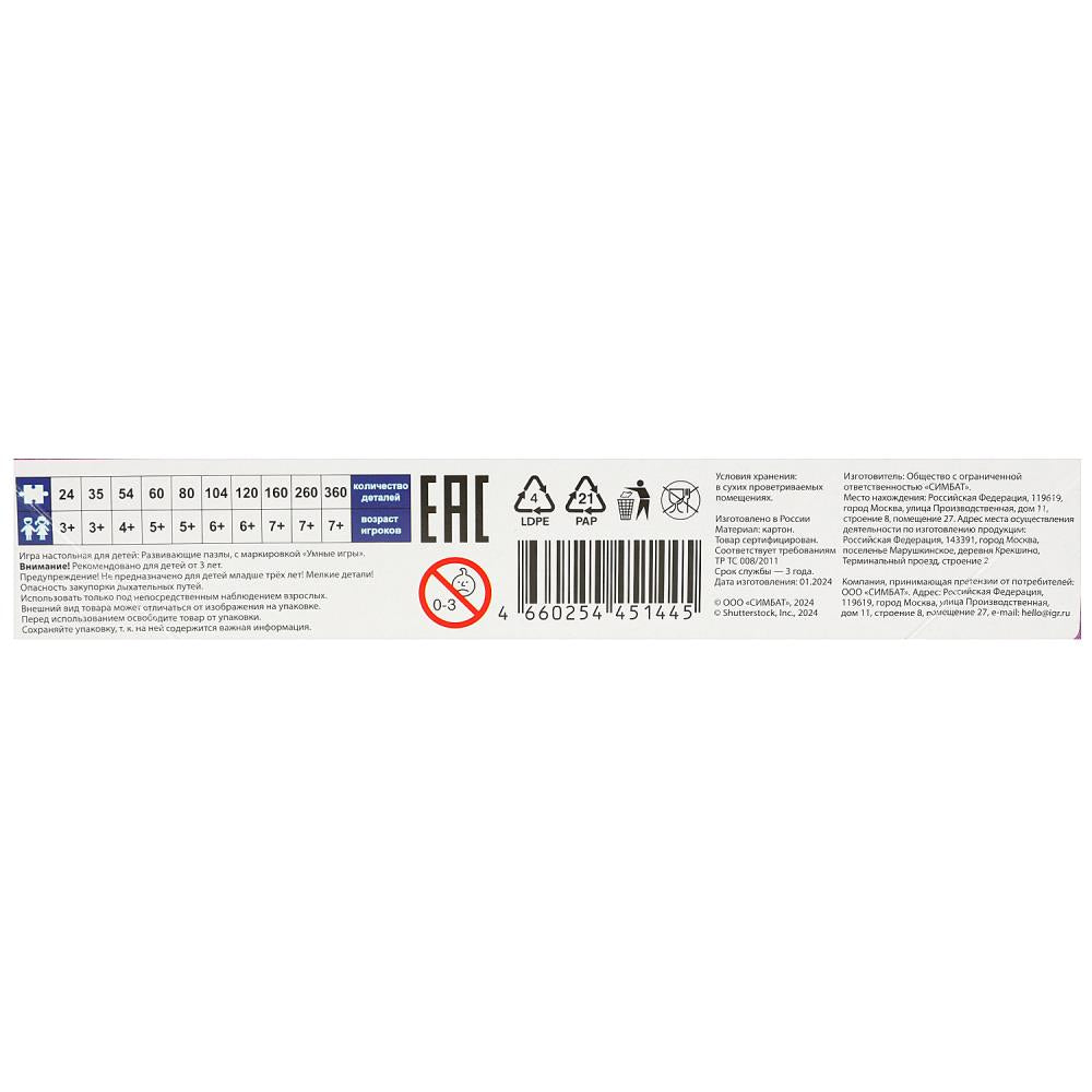 Приключения принцессы. Макси-пазлы в коробке. Пазл 35 détails. 180х127х35 mm. Умные игры. dans кор.24шт