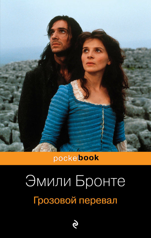Две сестры (комплект из 2 книг: Грозовой перевал и Жизнь Шарлотты Бронте)