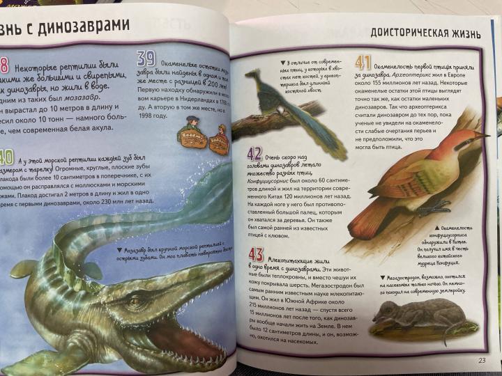 Dinozarы