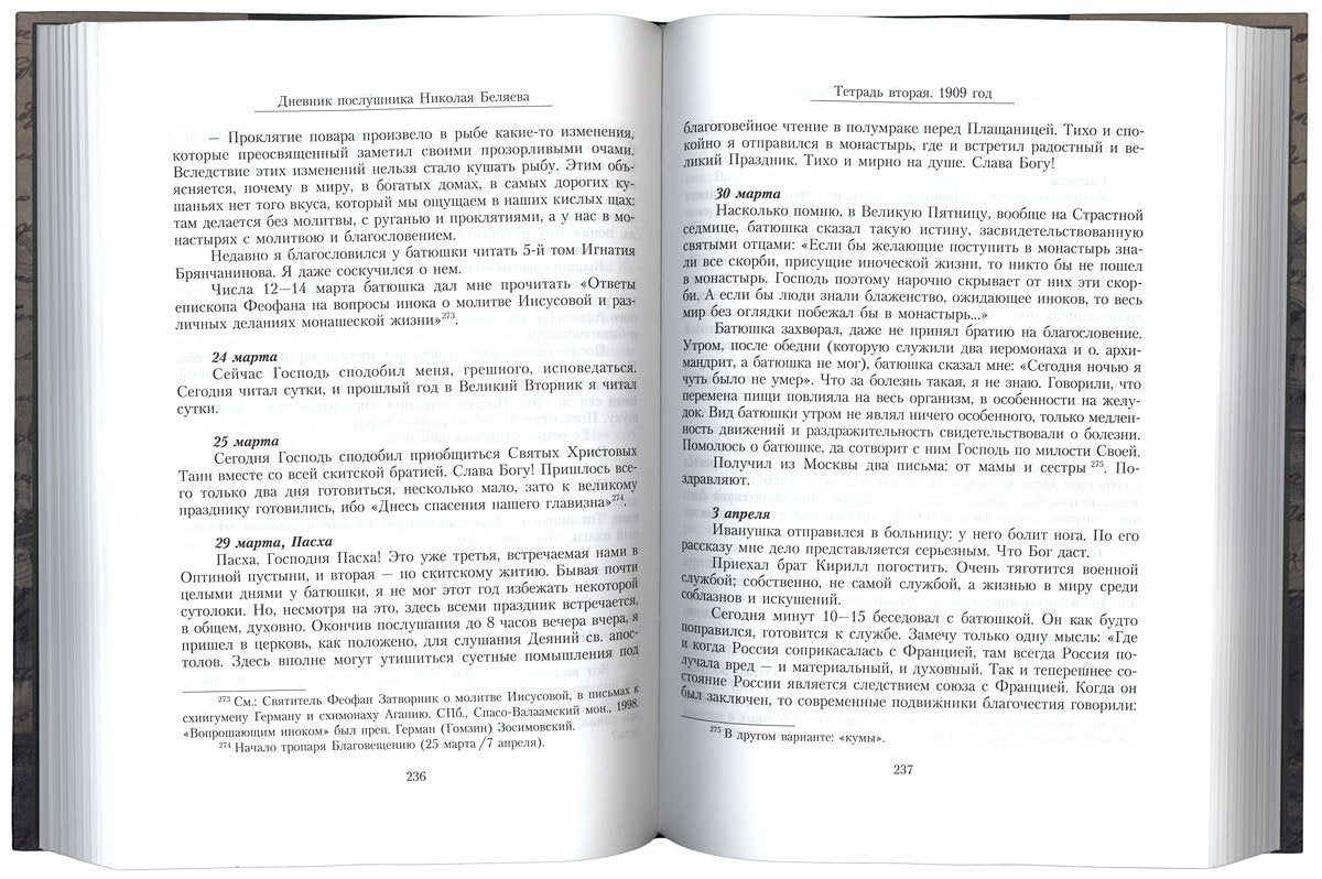 Дневник послушника Оптиной пустыни Николая Беляева (преподобного Никона исповедника)