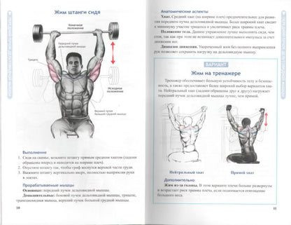 Anatomie du corps