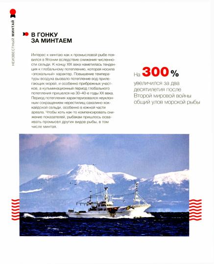 Неизвестный минтай. О промысле и потреблении рыбы в России и за рубежом