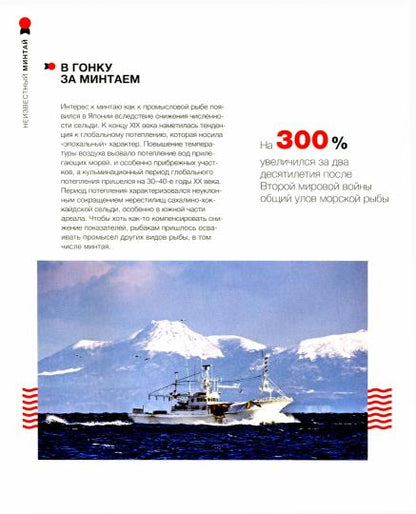 Неизвестный минтай. О промысле и потреблении рыбы в России и за рубежом