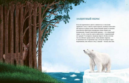 "Вечная мерзлота на страже качества продуктов.(Клад Эдуарда Толля). История, результаты и перспективы уникального эксперимента по длительному хранению пищевых продуктов в условиях вечной мерзлоты"