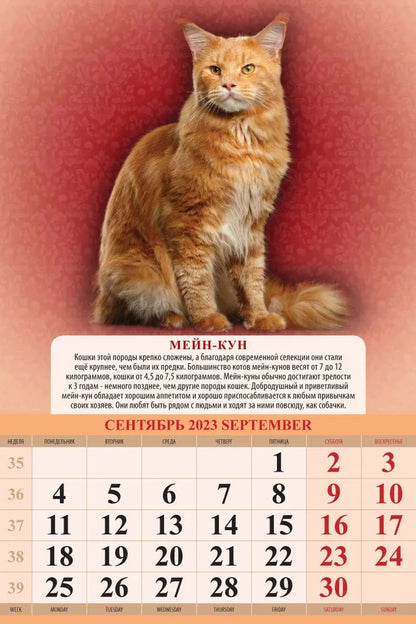 Calendrier "Породы кошек" pour 2024. Panneau avec cadre (320*480 mm) 6 listes